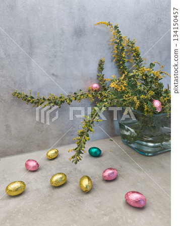 Chocolate easter eggs and mimosa flowers celebrating spring festivities in prague copy space gray background Chocolate easter eggs and mimosa flowers celebrating spring festivities in prague copy space gray background 134150457
