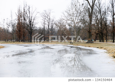 Frozen pond reflecting bare trees in stromovka park, prague Frozen pond reflecting bare trees in stromovka park, prague 134150464