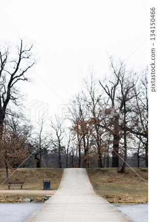 Empty footpath leading towards hill in stromovka park, prague, in winter Empty footpath leading towards hill in stromovka park, prague, in winter 134150466