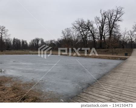 Frozen lake and wooden footbridge in stromovka park, prague 134150473