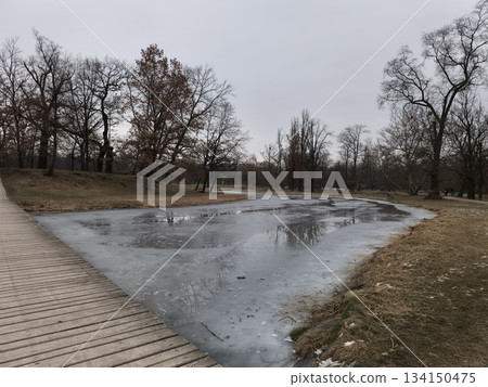 Frozen pond in stromovka park, prague, czech republic, in winter Frozen pond in stromovka park, prague, czech republic, in winter 134150475