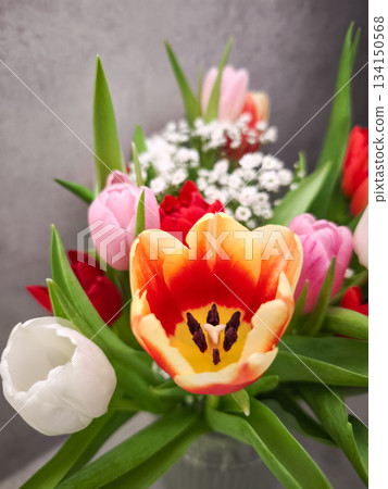 Vibrant bouquet of tulips and gypsophila celebrating valentine's day, a symbol of love and affection in prague, czechia 134150568
