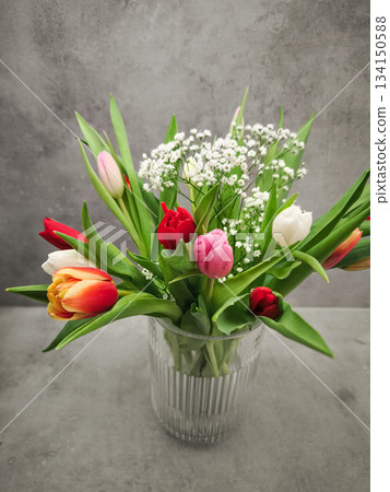 Colorful tulips and delicate baby's breath filling elegant glass vase, radiating romantic valentine's day mood and soft floral charm 134150588