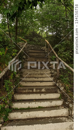 Hiking trail steps leading upwards in the forest of strbske pleso, high tatras Hiking trail steps leading upwards in the forest of strbske pleso, high tatras 134150758