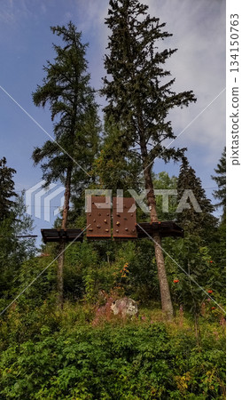 Climbing wall hanging between two trees in a forest adventure park in slovakia strbske pleso, high tatras 134150763