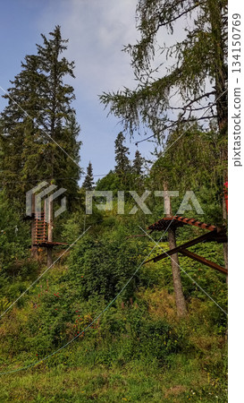Rope park nestled in the lush forests of strbske pleso, high tatras, slovakia Rope park nestled in the lush forests of strbske pleso, high tatras, slovakia 134150769