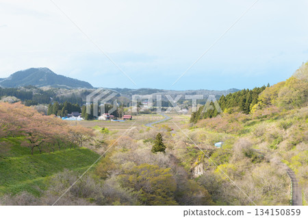 早春的南川水壩 134150859