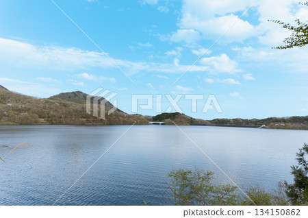 早春的南川水壩 早春的南川水壩 134150862