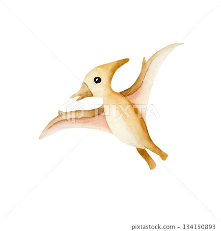 Cute dinosaur. Watercolor hand drawn prehistoric pterodactyl animal. Isolated illustration on transparent background. Perfect for for nursery and baby shower, tropical design projects. For designers 134150893