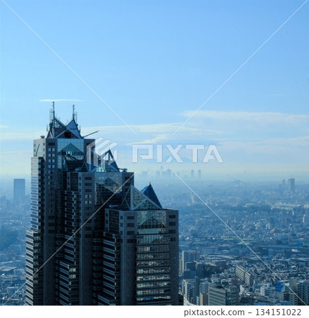 City scenery of Shinjuku 134151022