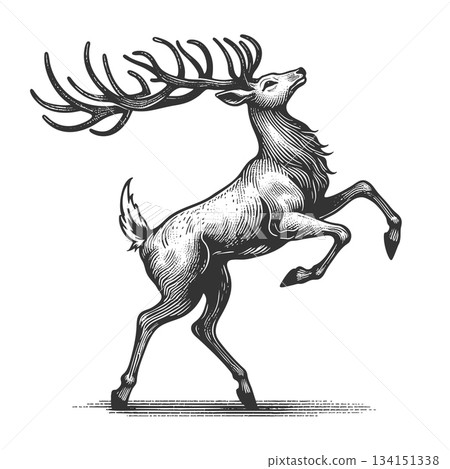 Rearing Stag engraving sketch vector illustration 134151338