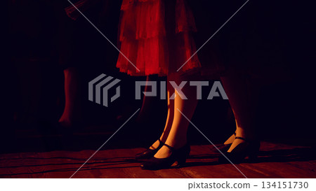 Layered skirts and dancers shoes arranged on wooden backstage floor. 134151730