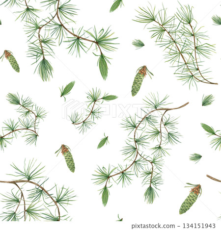European Larch branch with soft green needles and young cones watercolor seamless pattern on isolated background. Larix tree illustration. Winter botanical ornate for textile prints, stationery. European Larch branch with soft green needles and young cones watercolor seamless pattern on isolated background. Larix tree illustration. Winter botanical ornate for textile prints, stationery. 134151943
