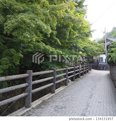 Takao in Summer: "Momiji Street" - A Beautiful Harmony Between the River and Greenery 134151957