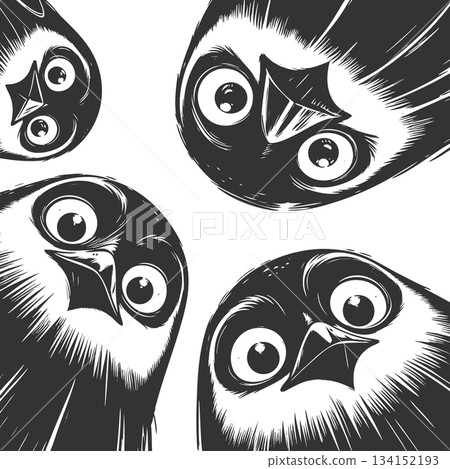Curious Cartoon Penguins Looking Downward vector 134152193
