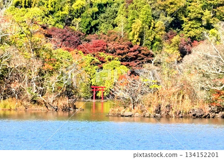 Lake Ippeki in the height of autumn 134152201