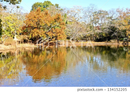 Lake Ippeki in the height of autumn Lake Ippeki in the height of autumn 134152205