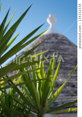 義大利阿爾貝羅貝洛城市景觀 134152339