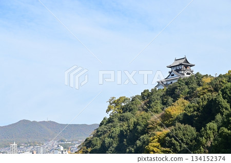 Castle tower and autumn leaves (Inuyama Castle) Castle tower and autumn leaves (Inuyama Castle) 134152374