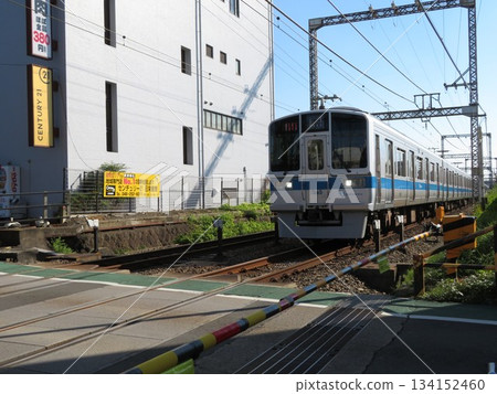 Train Odakyu Line Train Odakyu Line 134152460