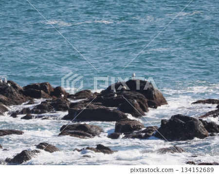 從埃里莫岬看到的景色 134152689