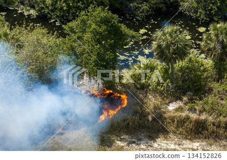 Uncontrolled vegetation fire tears through Florida forest in dry weather, with glowing embers and smoke billowing into the sky Uncontrolled vegetation fire tears through Florida forest in dry weather, with glowing embers and smoke billowing into the sky 134152826