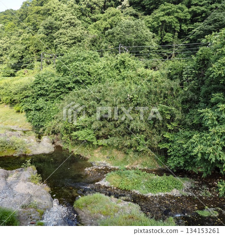 清澈的溪流從高尾山腳下流過，周圍環繞著自然風光。 134153261