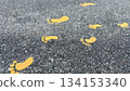 Yellow footprints painted on the road 134153340