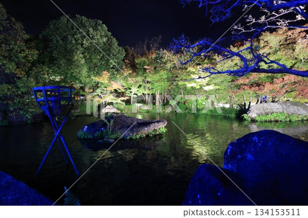 櫻花在晚上 櫻花在晚上 134153511