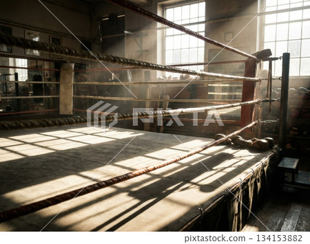 Sunlight streams through the windows casting diagonal shadows across the boxing ring. Dust particles float in the light revealing the room's atmosphere. The ropes and mat show signs of use. Sunlight streams through the windows casting diagonal shadows across the boxing ring. Dust particles float in the light revealing the room's atmosphere. The ropes and mat show signs of use. 134153882