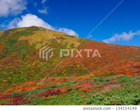 [宮城縣]栗子山的秋天_11 134154149