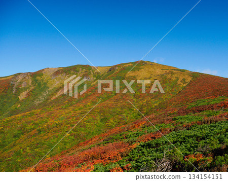 [Miyagi Prefecture] Autumn at Mount Kurikoma_01 134154151