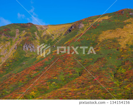 [Miyagi Prefecture] Autumn at Mount Kurikoma_06 134154156