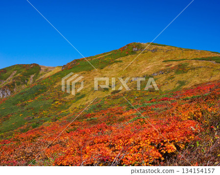 [Miyagi Prefecture] Autumn at Mount Kurikoma_07 134154157