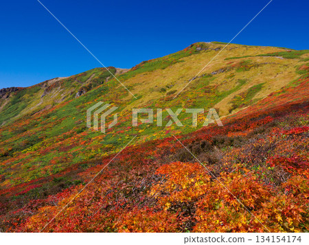 [宮城縣]栗子山的秋天_08 134154174