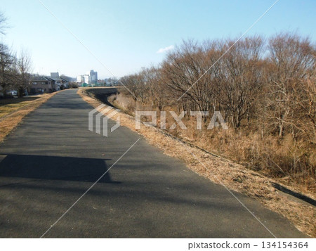 From the Tama River sidewalk to the riverbed From the Tama River sidewalk to the riverbed 134154364
