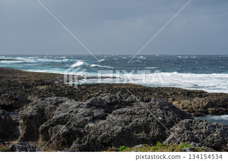 January 8, 2020 Kikaijima, rough Pacific Ocean Record of the day of JAC3830 runway deviation accident Coastline 134154534
