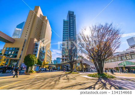 日本橫濱城市景觀。十二月。長長的影子…諸如JR櫻木町站、十字門、華盛頓大廈和富士膠片等建築。 134154668