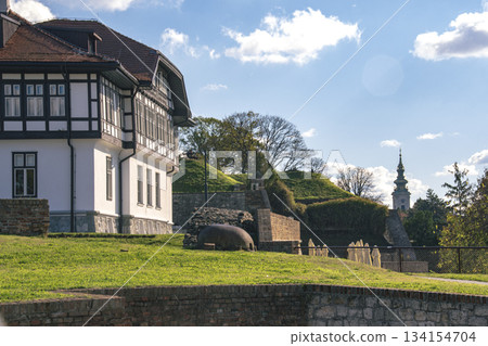 塞爾維亞景觀 134154704