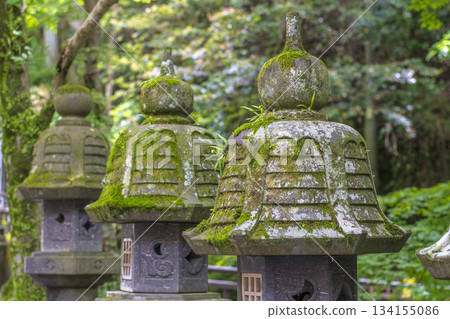 擁有臥佛像的旅遊景點 134155086