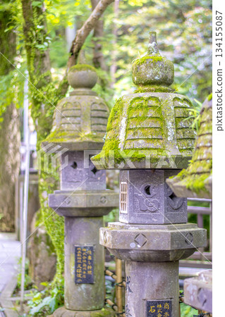 擁有臥佛像的旅遊景點 擁有臥佛像的旅遊景點 134155087