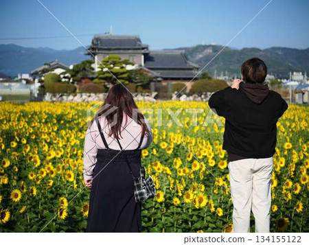 一對情侶在向日葵田中約會 134155122
