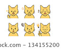 一組不同品種貓咪哭泣的表情 134155200