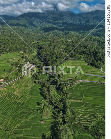Ubud Rice Terraces, Scenic Aerial Views Of Ubud Rice Fields And Forest Borders Ubud Rice Terraces, Scenic Aerial Views Of Ubud Rice Fields And Forest Borders 134155299