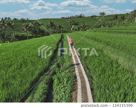 Serene Landscape Showing Woman Walking Along Lush Rice Terraces  134155300
