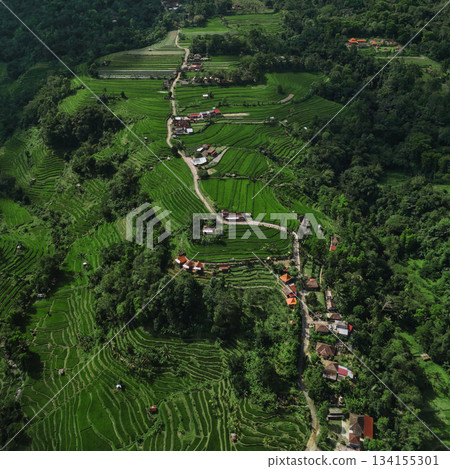 Elevated View Showing Winding Paths And Lush Layered Fields On Hillside Elevated View Showing Winding Paths And Lush Layered Fields On Hillside 134155301