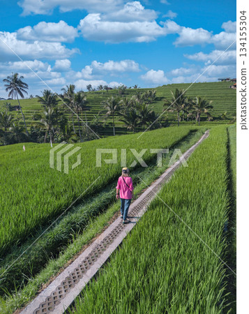 Serene Landscape Showing Woman Walking Along Lush Rice Terraces Serene Landscape Showing Woman Walking Along Lush Rice Terraces 134155304