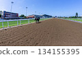 Race Horse Ejected Track Walking Back Inside Perspective Race Horse Ejected Track Walking Back Inside Perspective 134155395