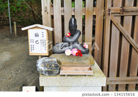 Otoyo Shrine, Kyoto: Komami and beautiful camellias (Sakyo Ward, Kyoto City, Kyoto Prefecture) Otoyo Shrine, Kyoto: Komami and beautiful camellias (Sakyo Ward, Kyoto City, Kyoto Prefecture) 134155658