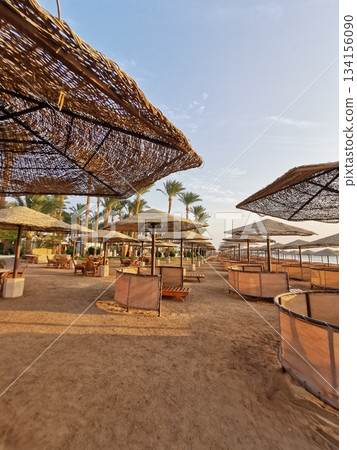 beach in the Egypt 134156090